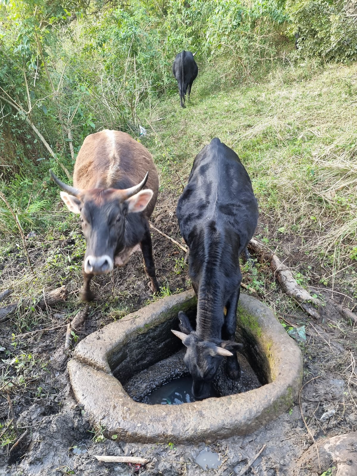 Unsafe water source serving rural households