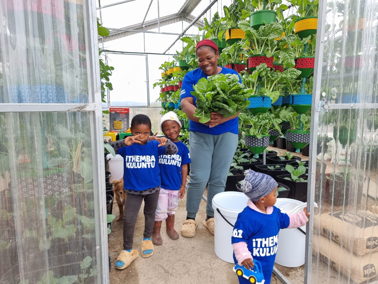 Greenhouse with SA Harvest — feature photo