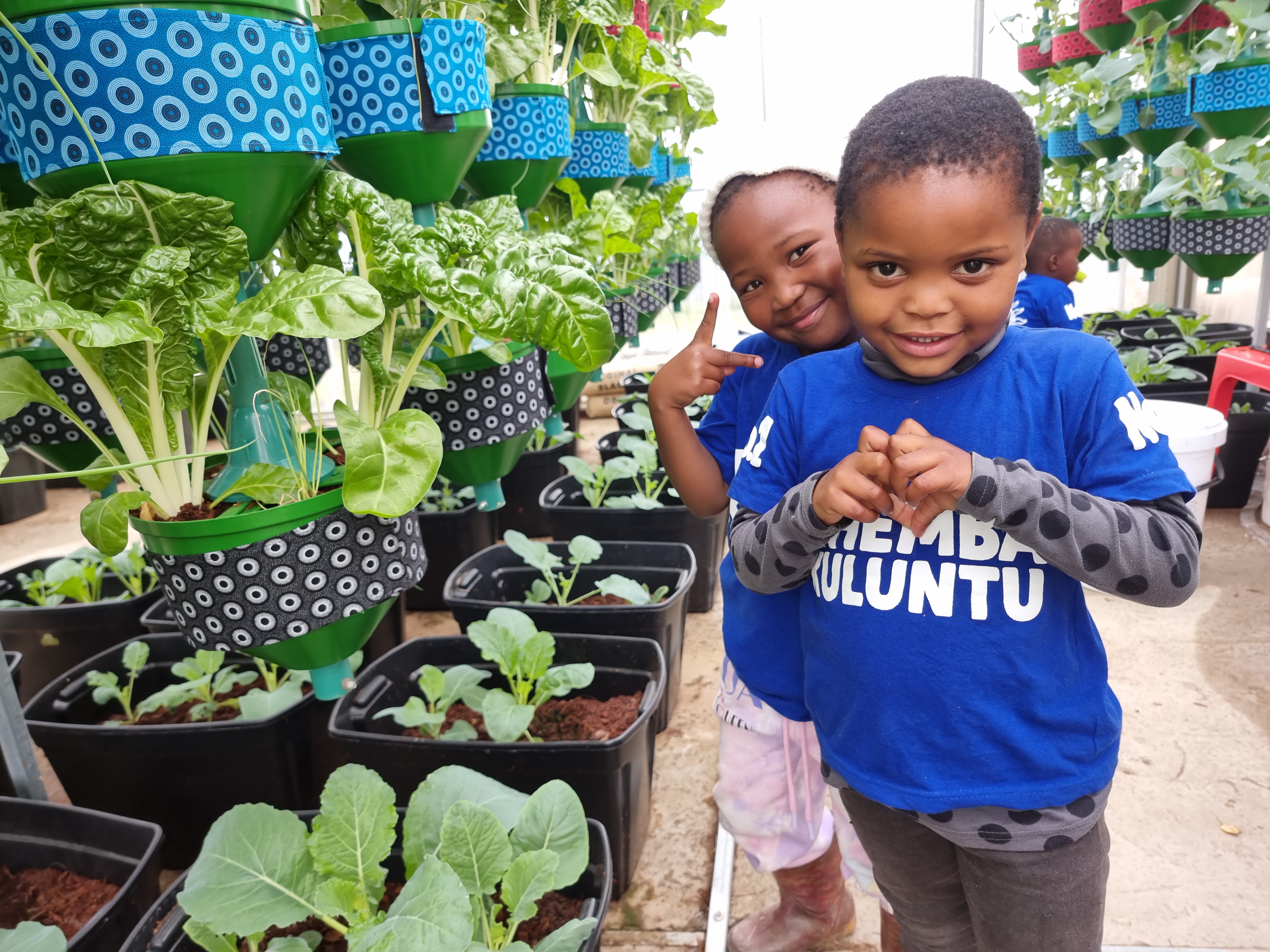 Children in the greenhouse with vegetables