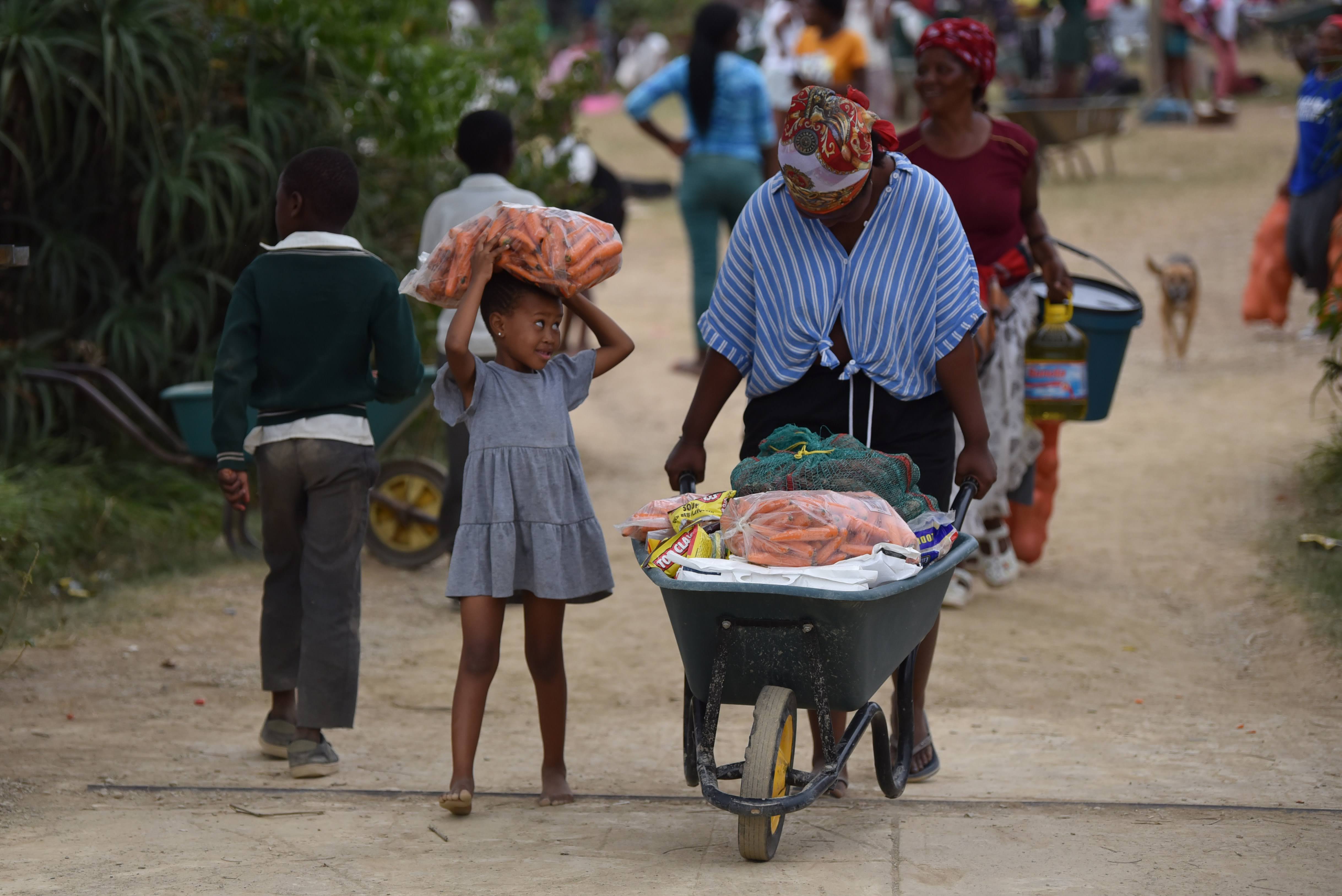 Family carrying food home by wheelbarrow and on head