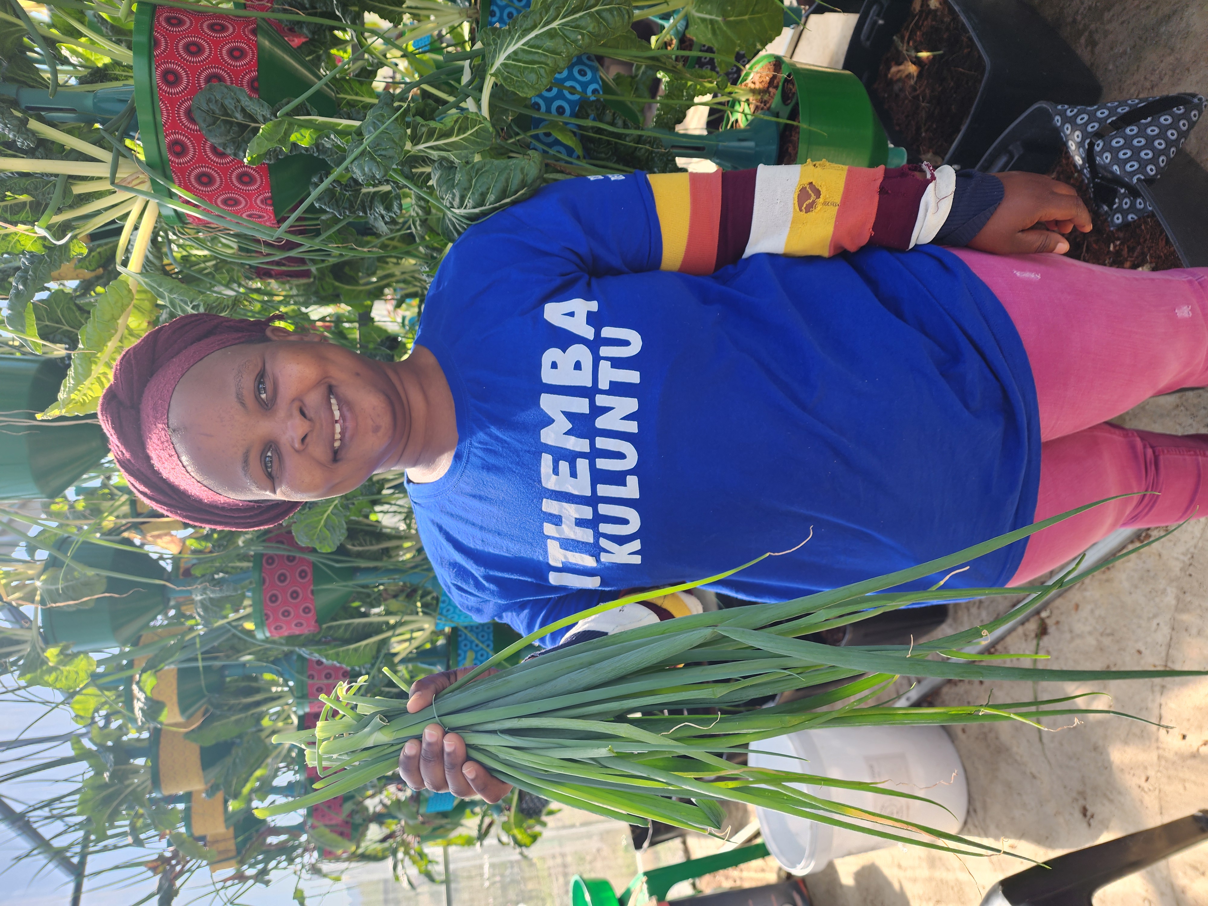 Locally grown produce at the greenhouse