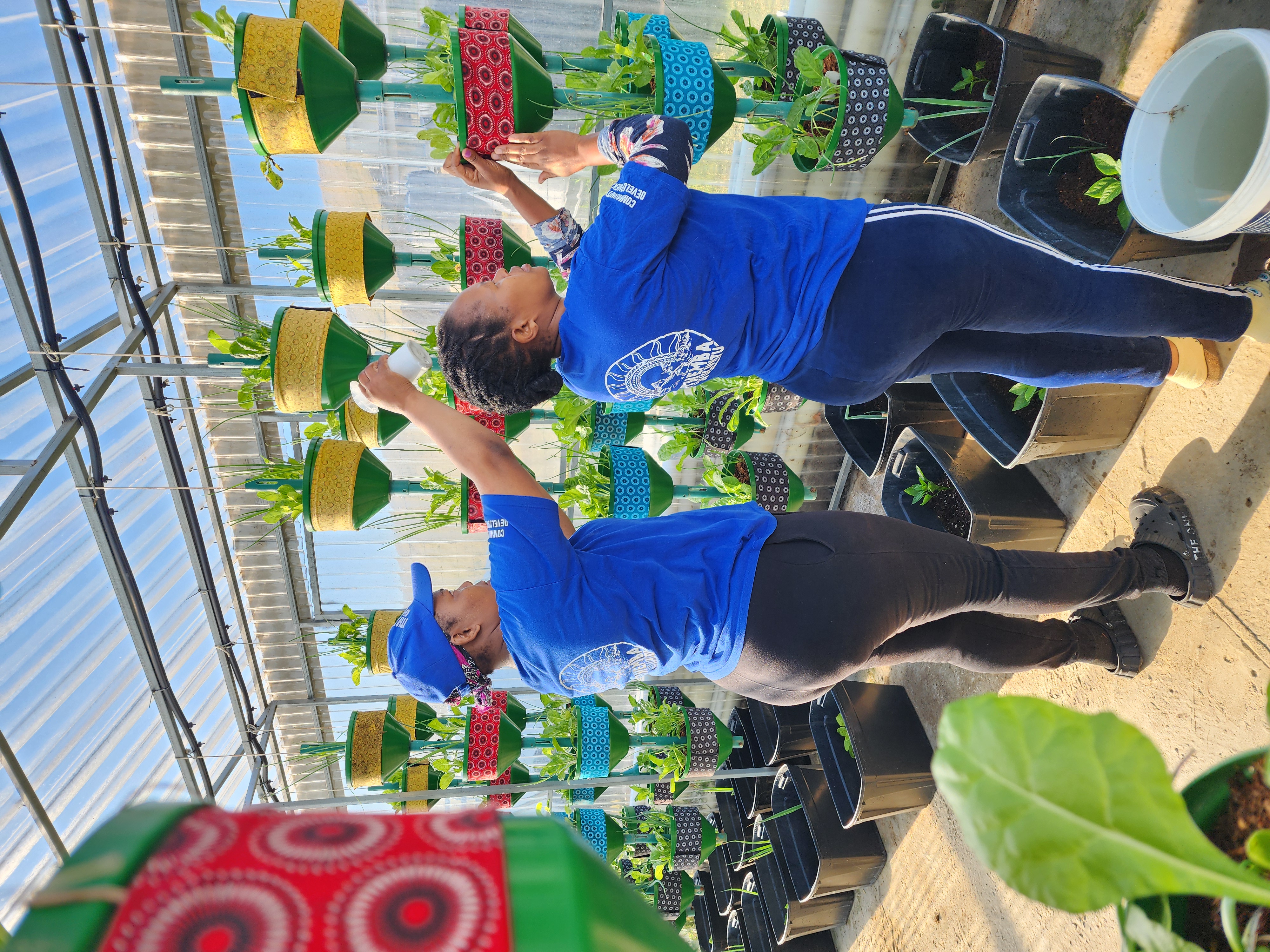Community members at work in the greenhouse