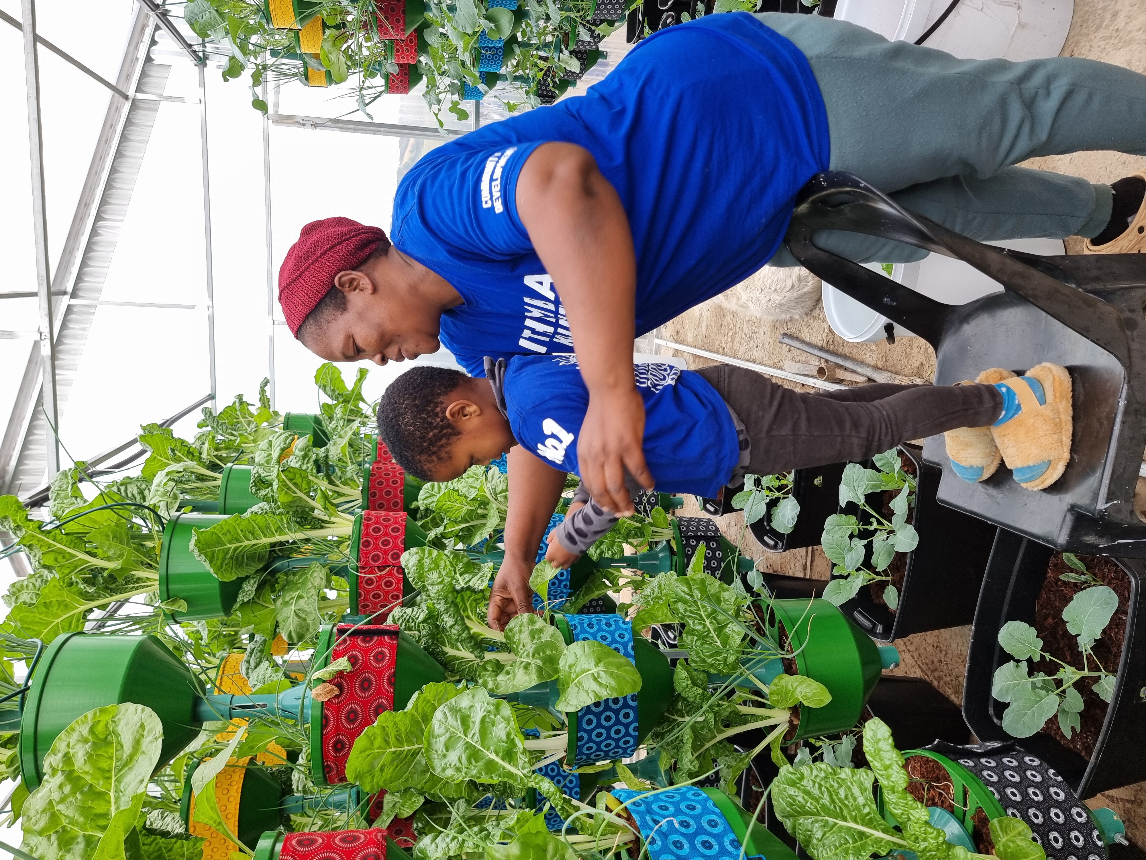 Teacher and child in the greenhouse