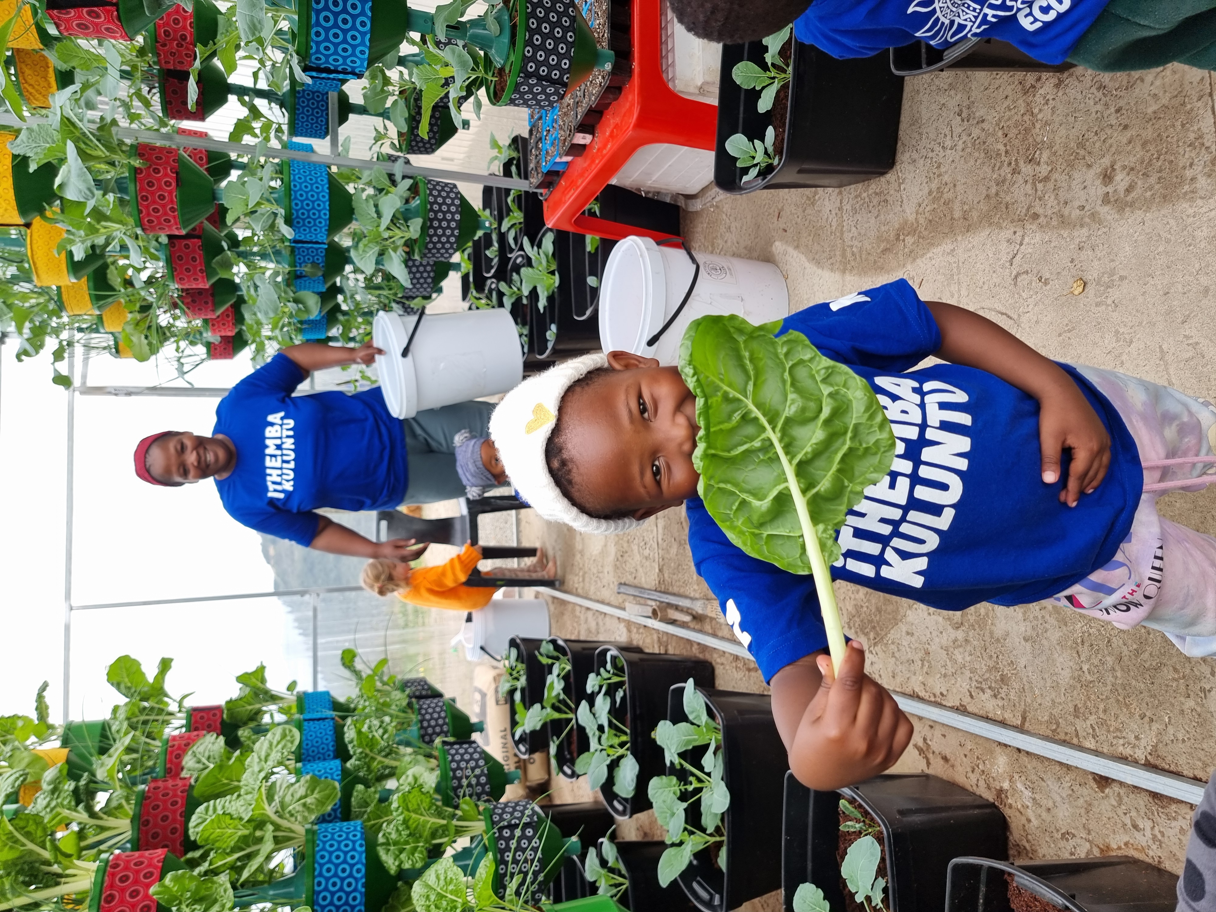 Child holding freshly harvested vegetables