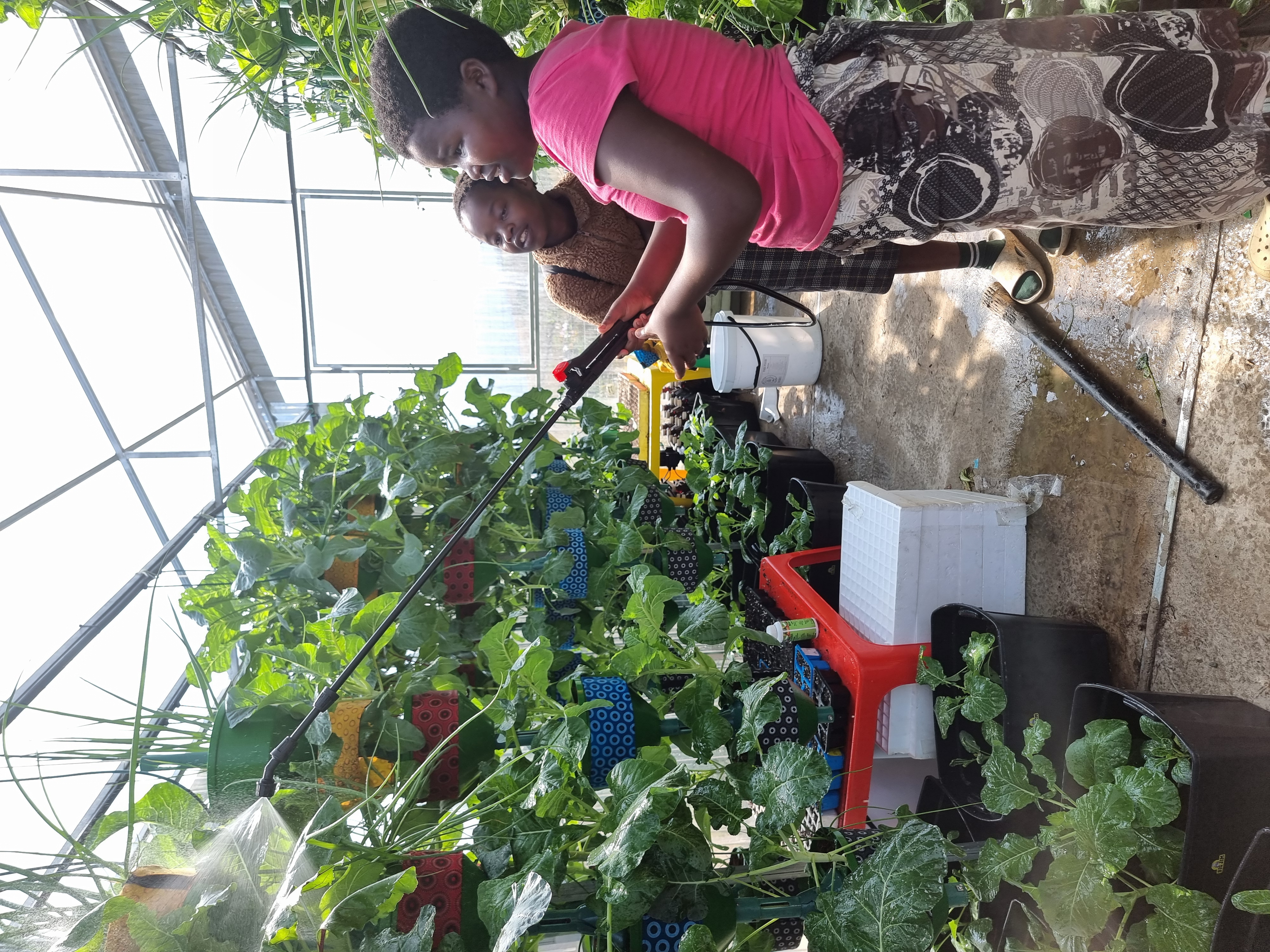 Young women taking part in the greenhouse project