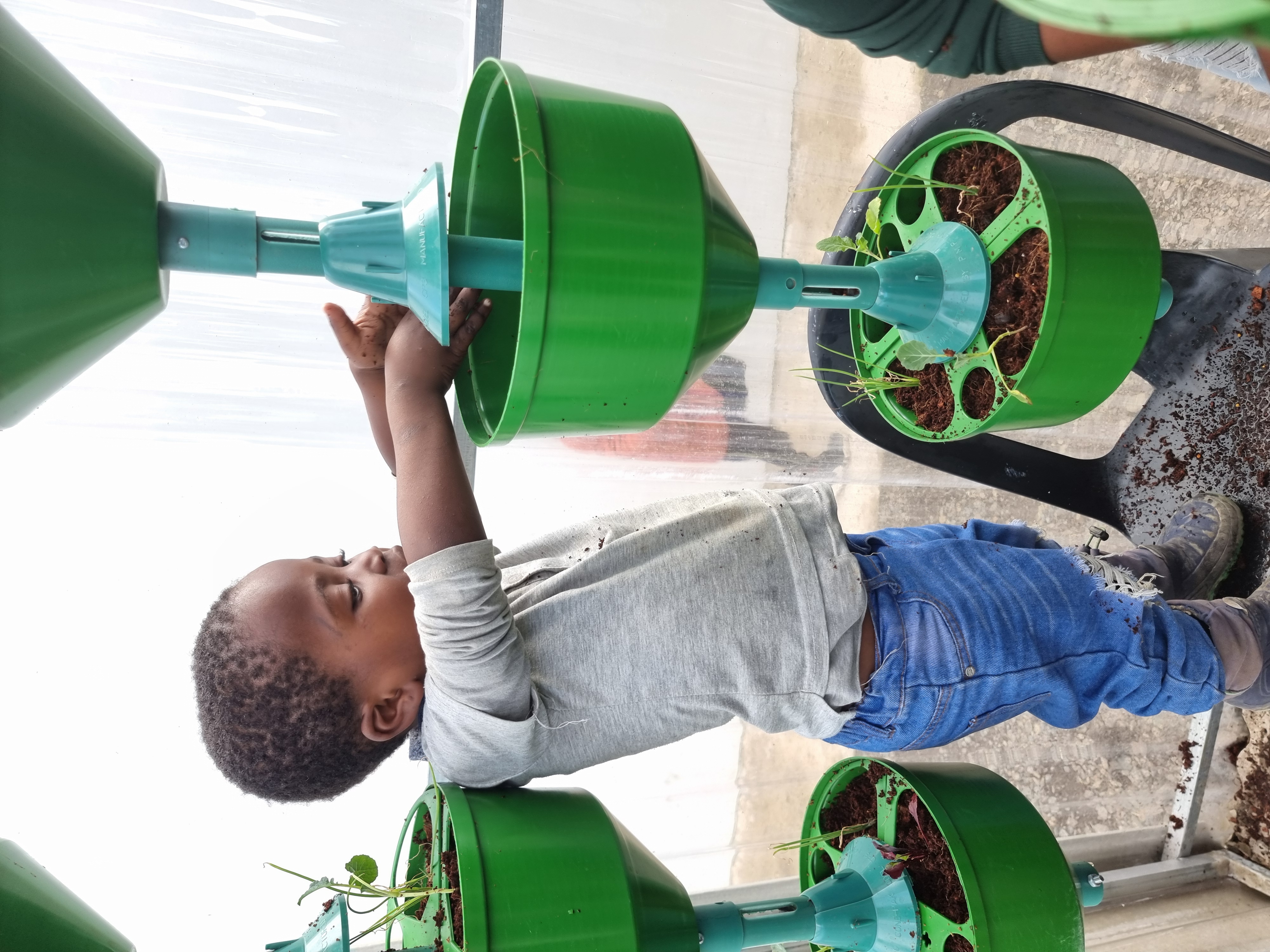 A child planting in the greenhouse