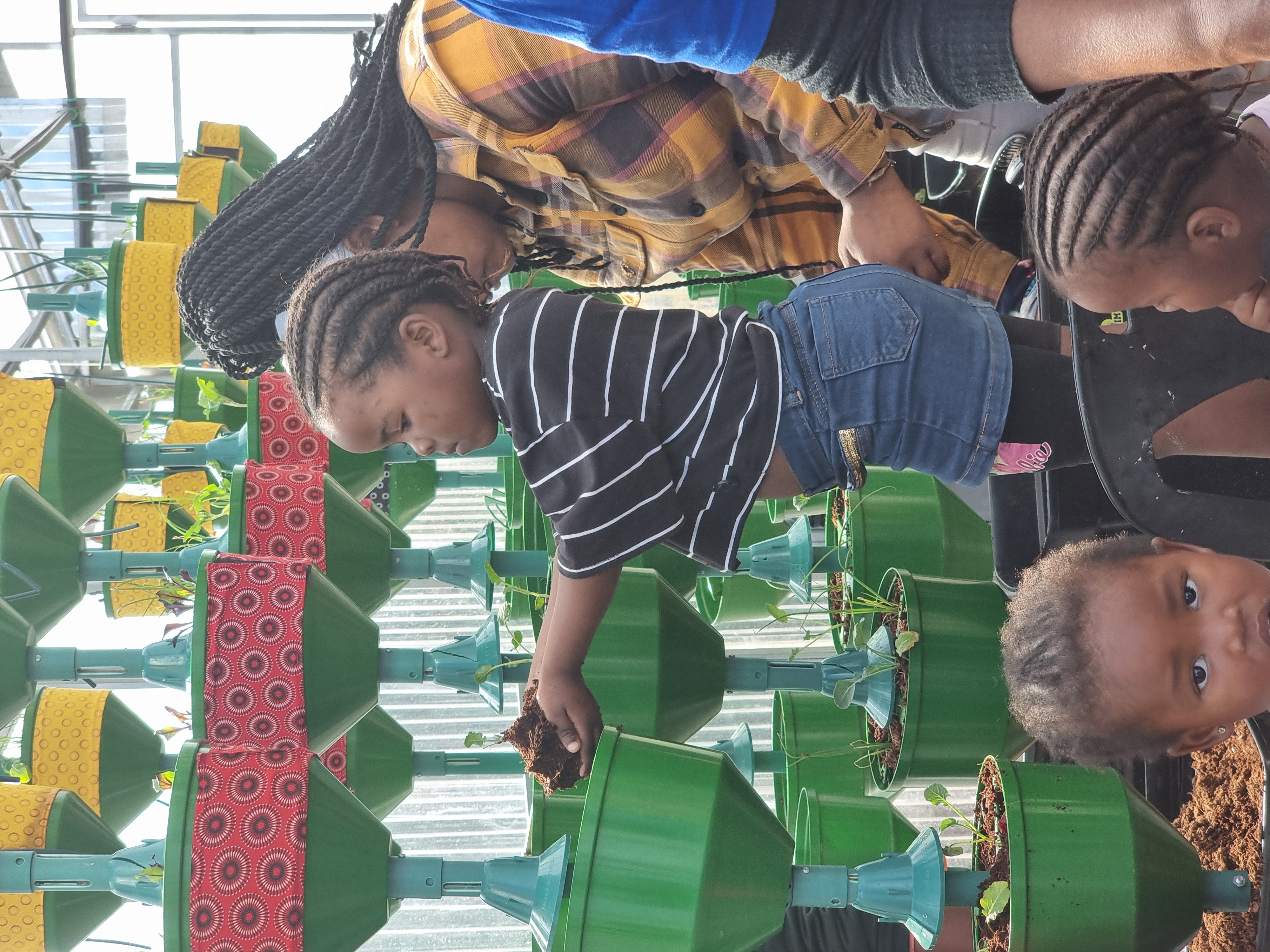Child planting in the greenhouse