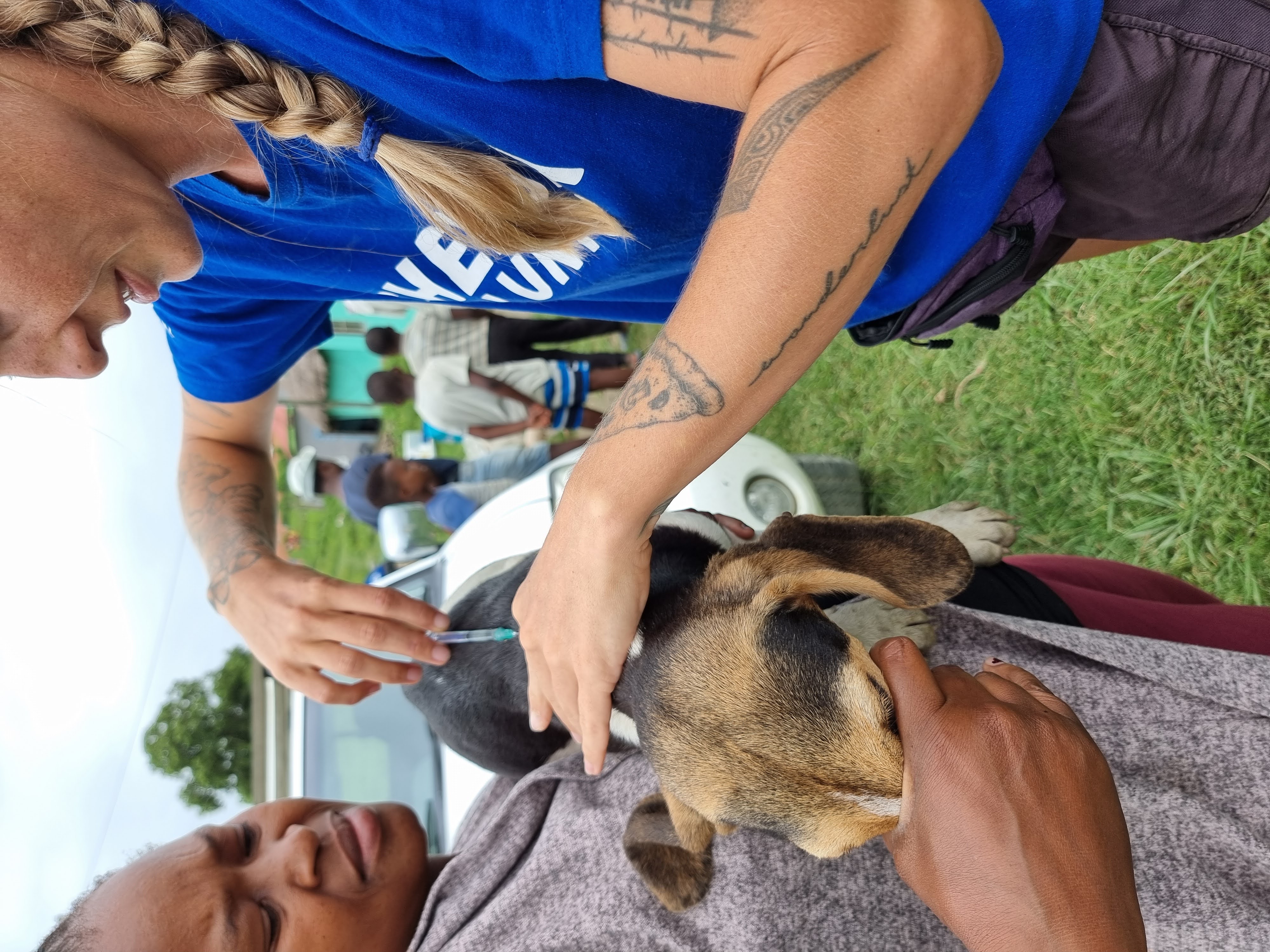 Vaccination and deworming day