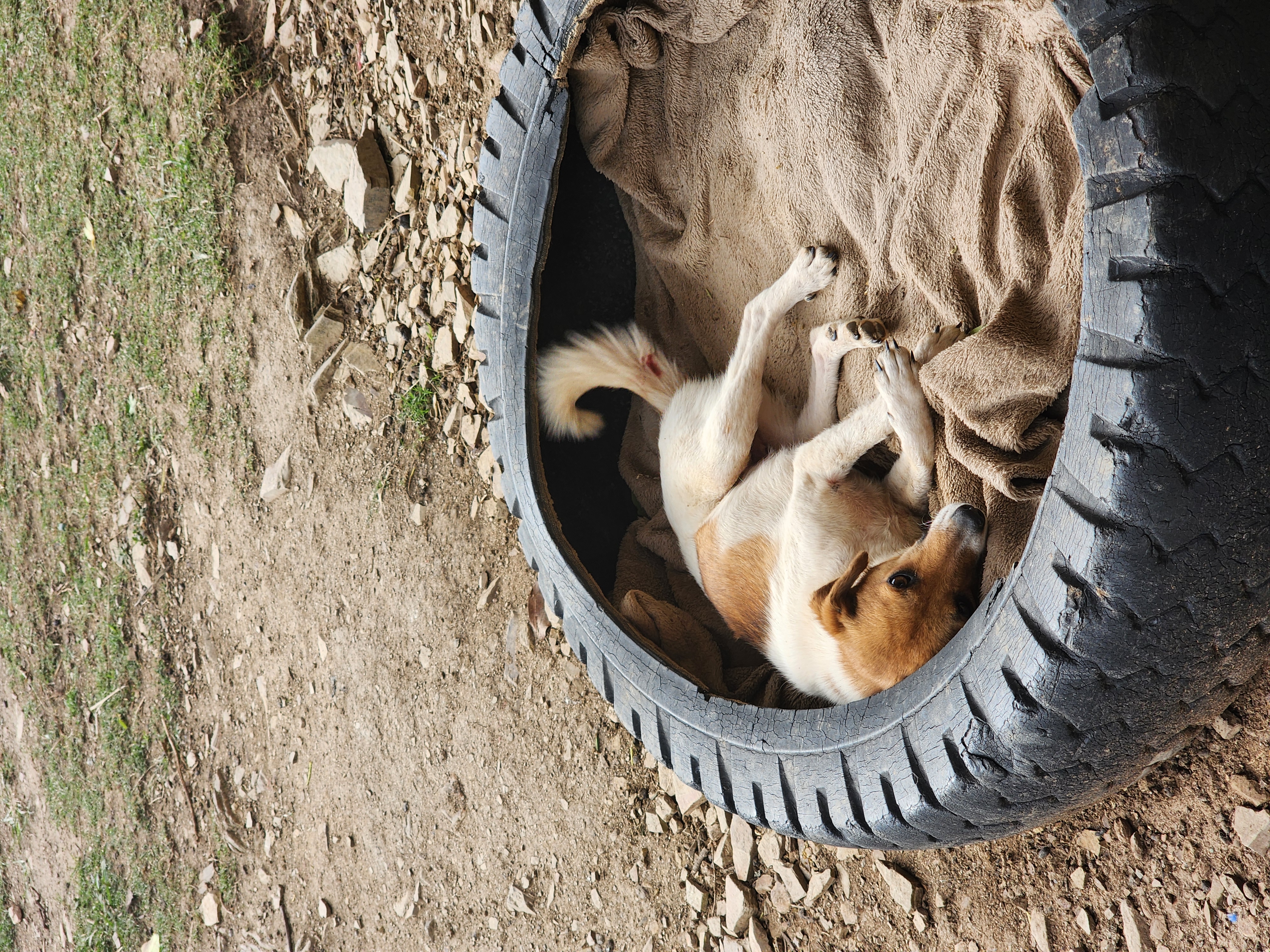 Basic shelter in the community