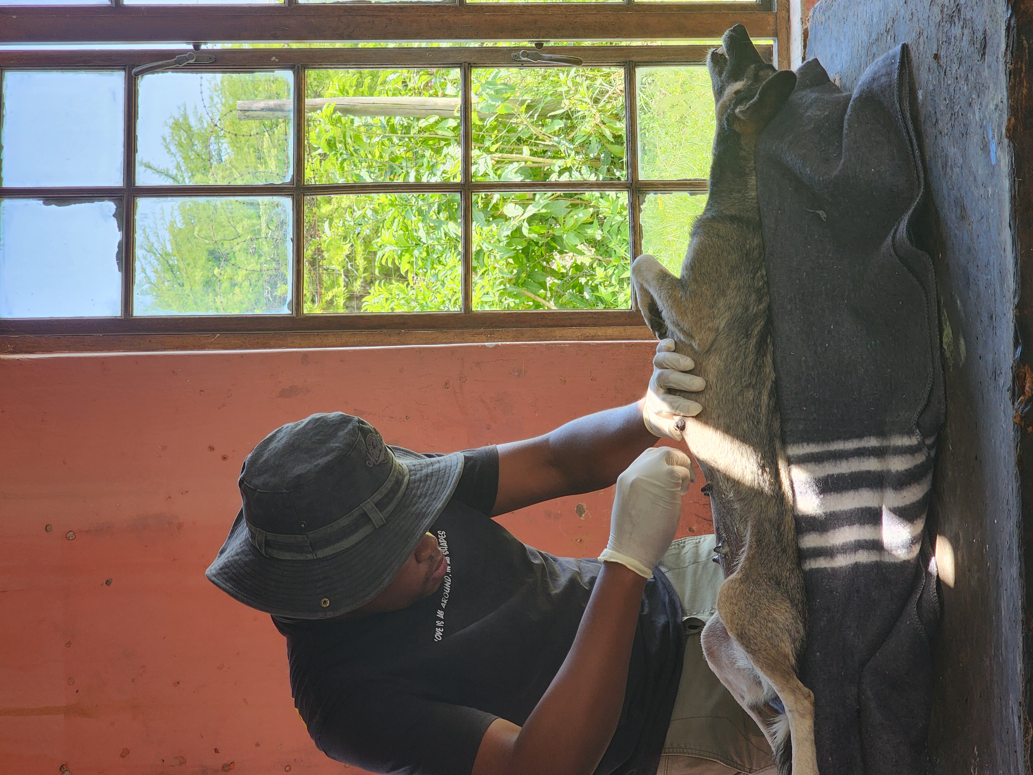 Sterilisation campaign in Pondoland