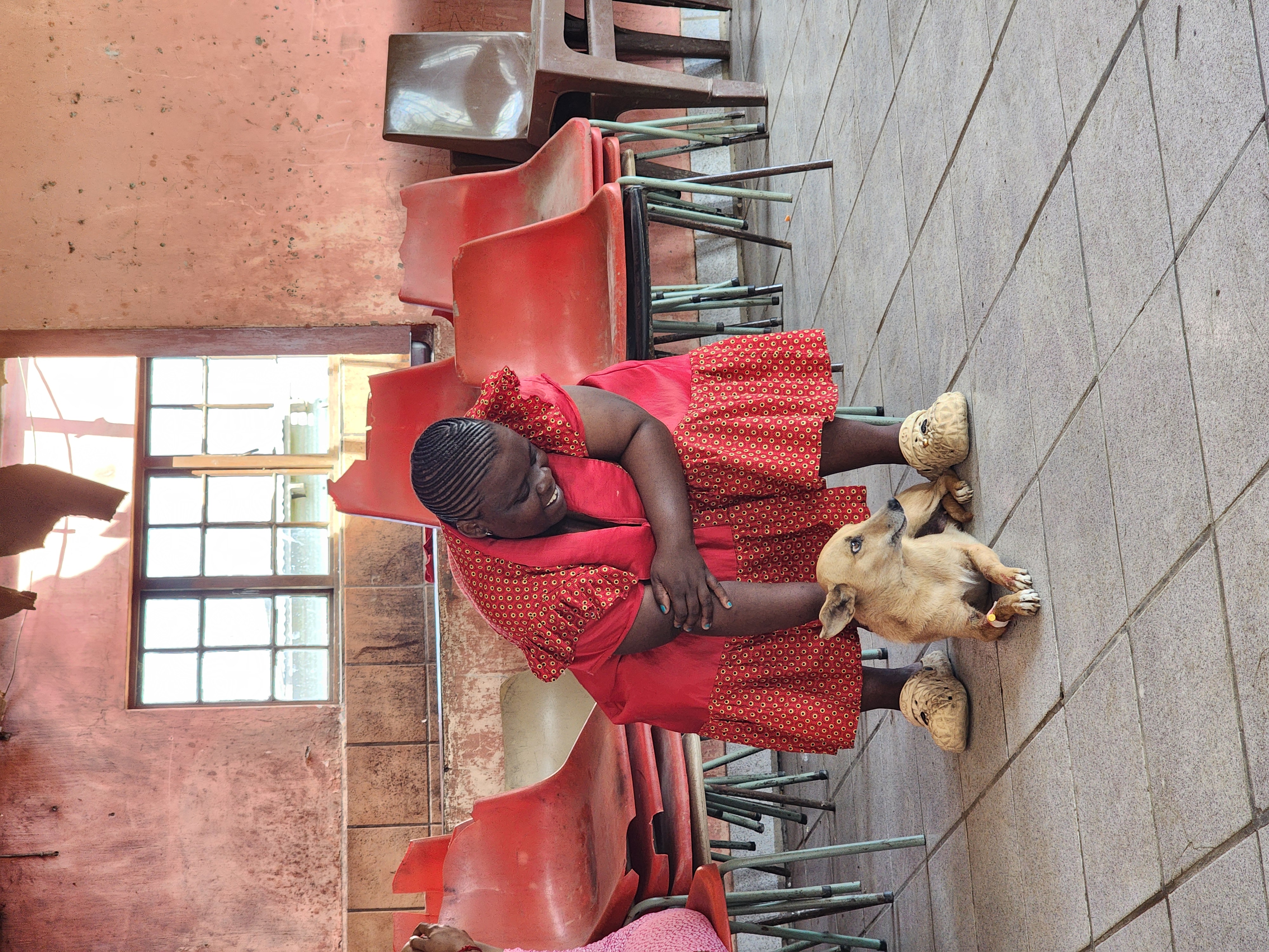 Animal welfare team preparing a sterilisation campaign