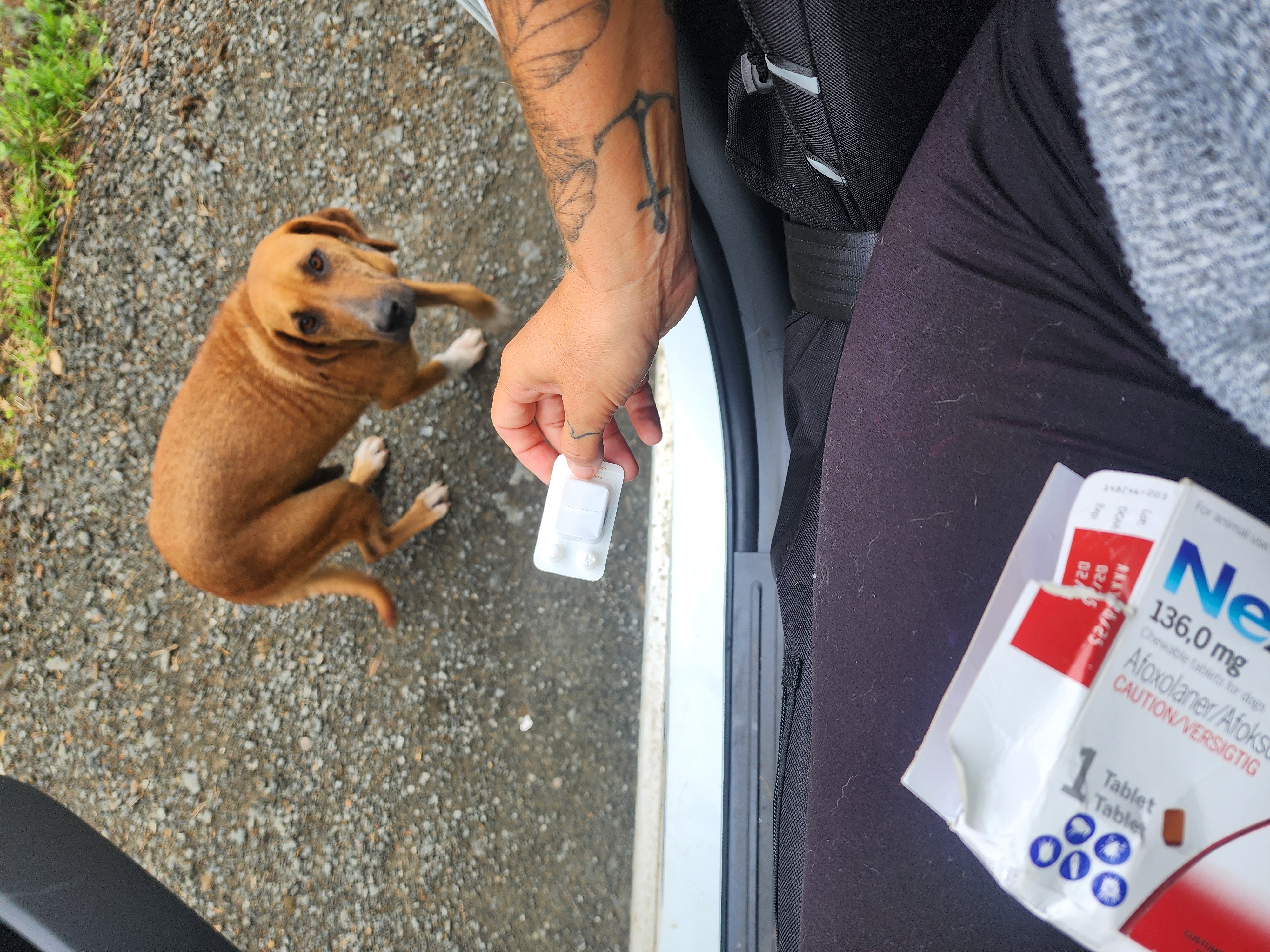 Follow-up medical care
