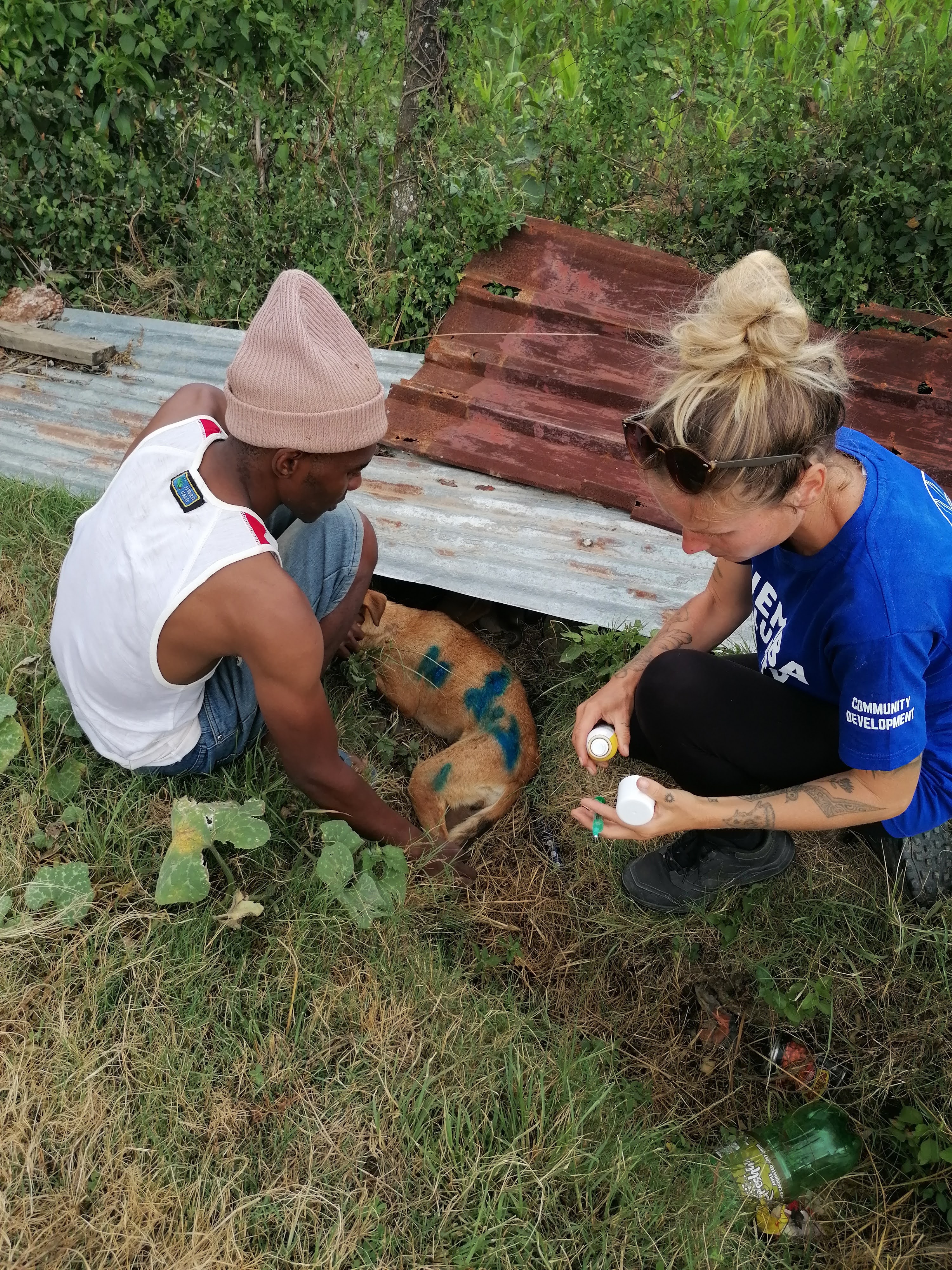 Caring for a sick or injured animal